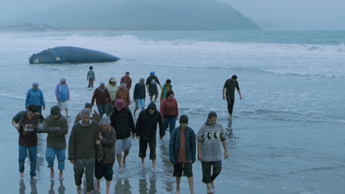 Whale Rider (Whale Rider)