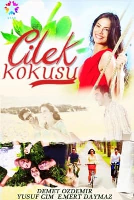 Poster phim Cilek Kokusu