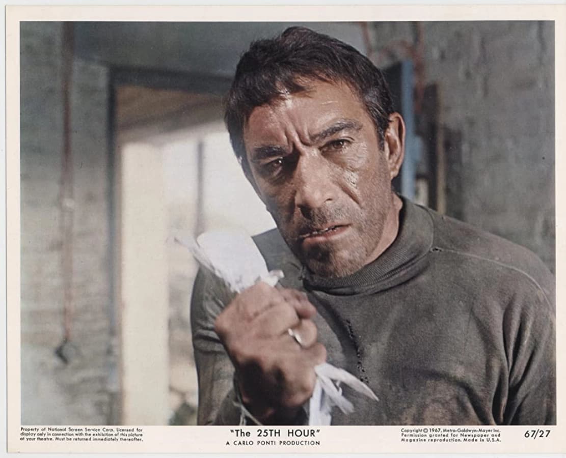 Giờ thứ 25 (The 25th Hour)