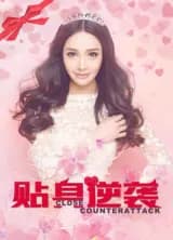 Poster phim Sát cánh phản công