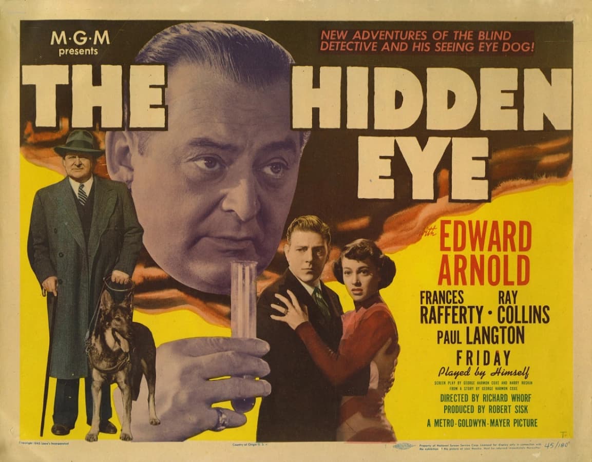 Thám tử ẩn (Hidden Detective)