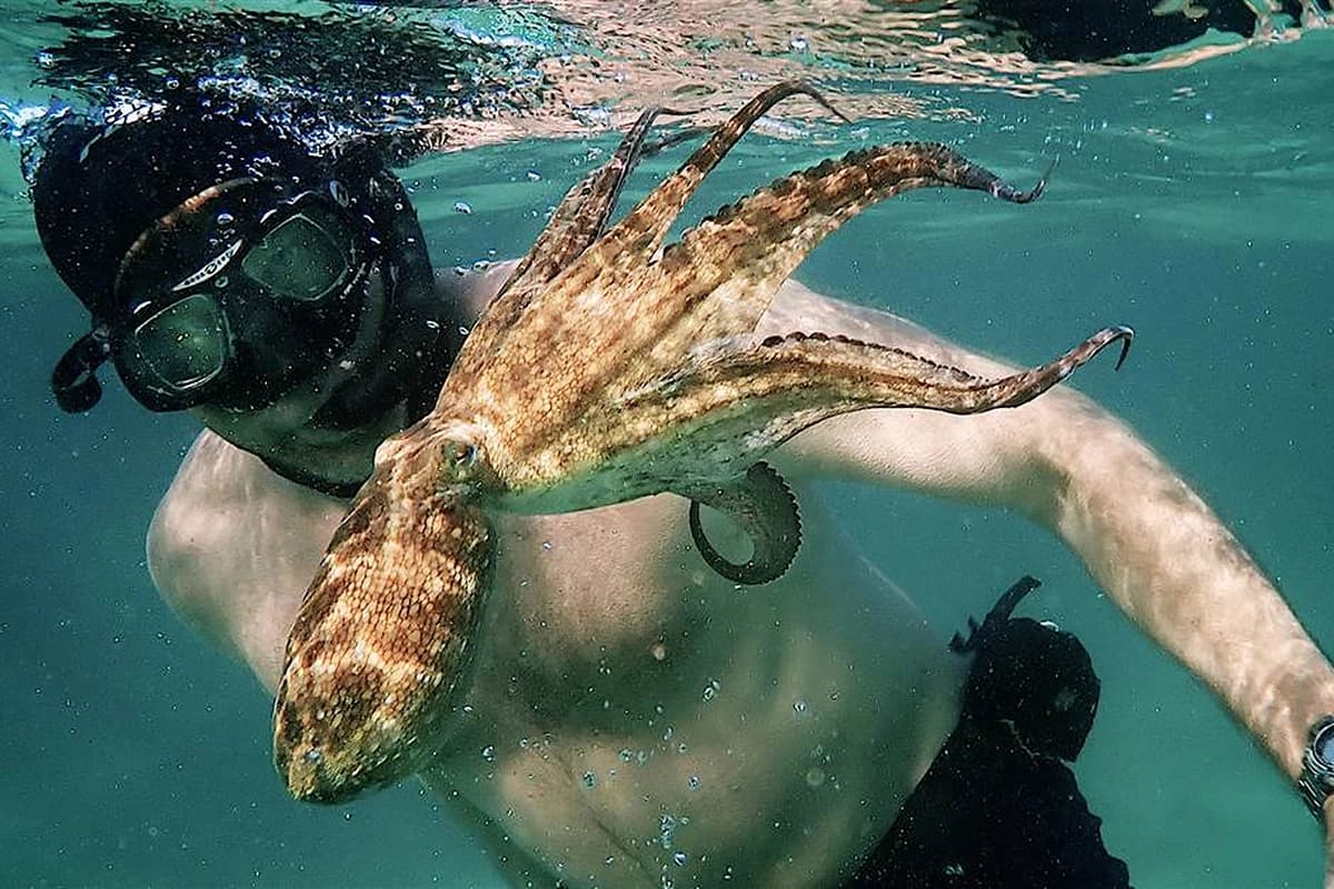Cô giáo bạch tuộc (My Octopus Teacher)