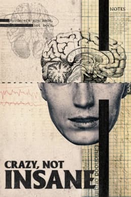 Poster phim Điên, Không Mất Trí