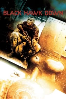 Poster phim Diều Hâu Gãy Cánh