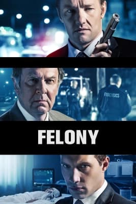Poster phim Felony