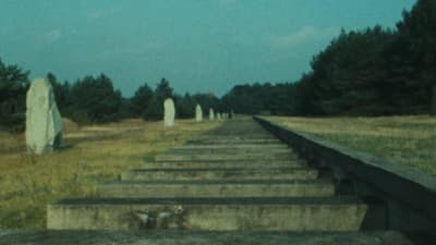 Shoah (Shoah)