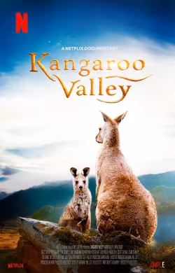 Poster phim Thung lũng kangaroo