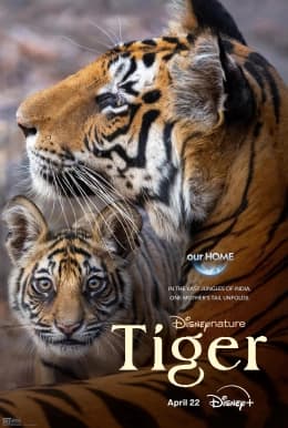 Poster phim Tiger